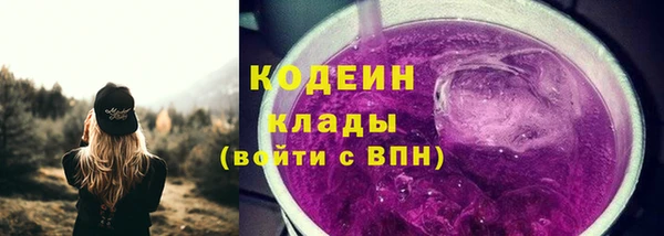 соль ск Каменка