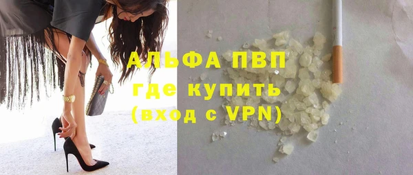 трава Инта