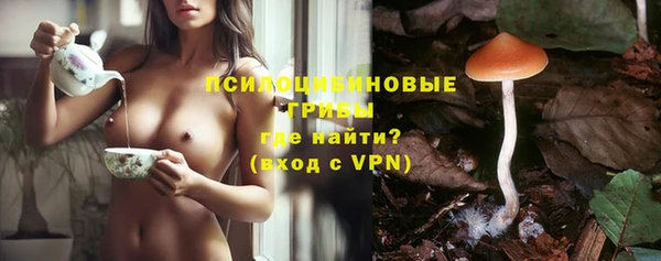 ГАЛЛЮЦИНОГЕННЫЕ ГРИБЫ Инсар