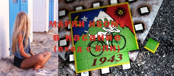 ГАЛЛЮЦИНОГЕННЫЕ ГРИБЫ Инсар