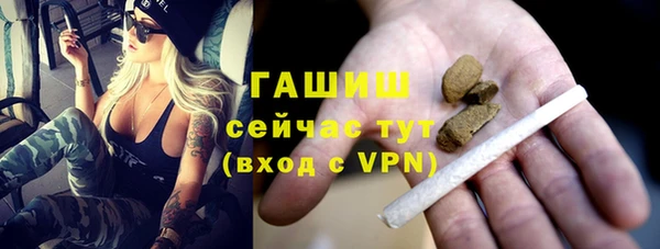 ГАЛЛЮЦИНОГЕННЫЕ ГРИБЫ Инсар