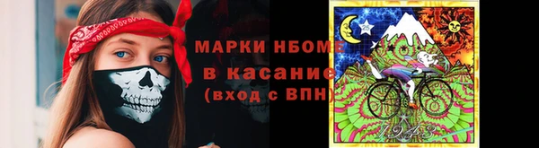 трава Инта