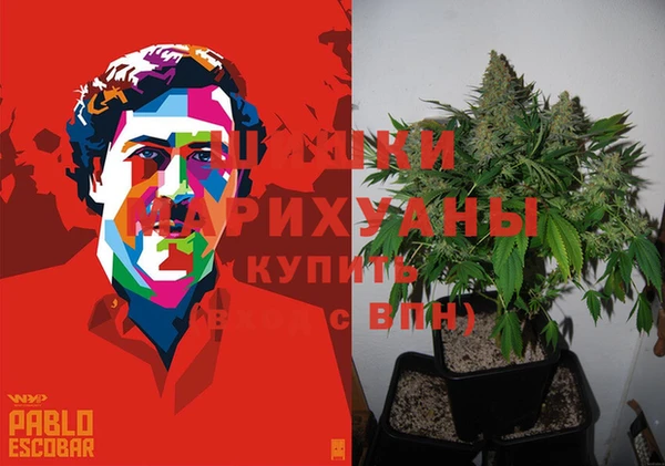ГАЛЛЮЦИНОГЕННЫЕ ГРИБЫ Инсар