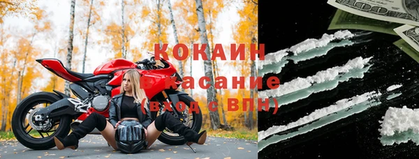 трава Инта