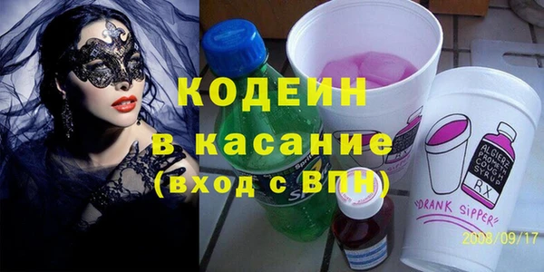 трава Инта