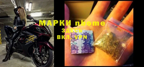 ГАЛЛЮЦИНОГЕННЫЕ ГРИБЫ Инсар