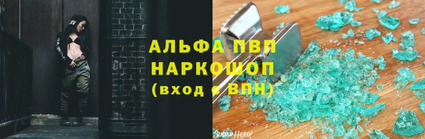 трава Инта