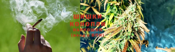 ГАЛЛЮЦИНОГЕННЫЕ ГРИБЫ Инсар